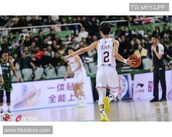 辽宁对阵南京同曦比赛分析与推荐策略分享